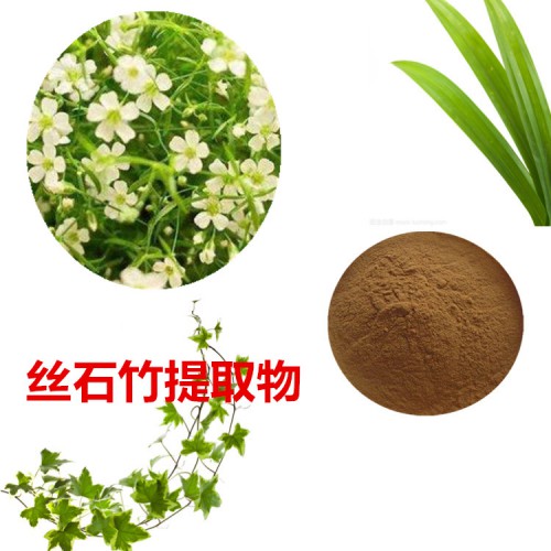 絲石竹提取物  絲石竹粉 絲石竹速溶粉  絲石竹浸膏粉