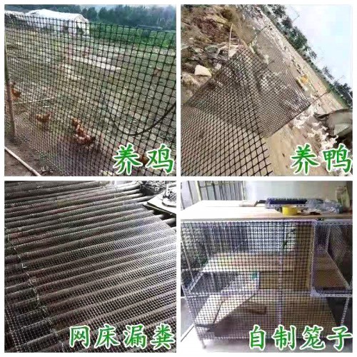 養(yǎng)雞網(wǎng) 養(yǎng)鴨網(wǎng)定制 養(yǎng)殖網(wǎng)價格