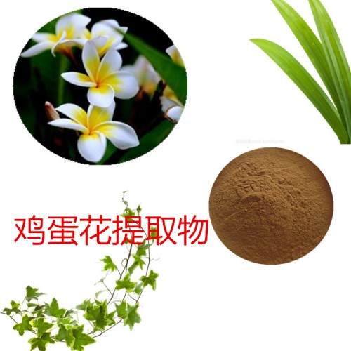 雞蛋花提取物   雞蛋花粉 雞蛋花速溶粉  雞蛋花浸膏粉