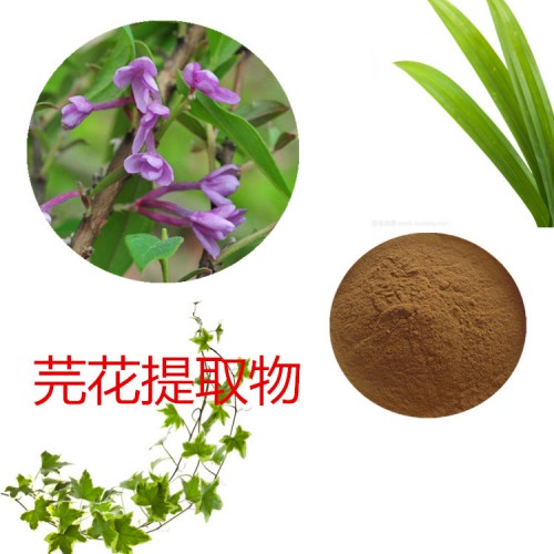 芫花提取物   芫花粉 芫花速溶粉  芫花浸膏粉