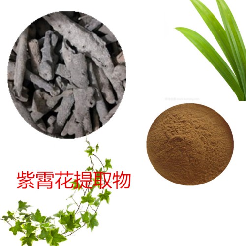紫霄花提取物 紫霄花粉 紫霄花速溶粉  紫霄花浸膏粉