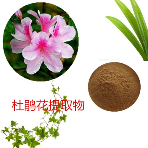 杜鵑花提取物  杜鵑花粉 杜鵑花速溶粉  杜鵑花浸膏粉