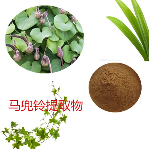 馬兜鈴提取物   馬兜鈴粉 馬兜鈴速溶粉 馬兜鈴浸膏粉