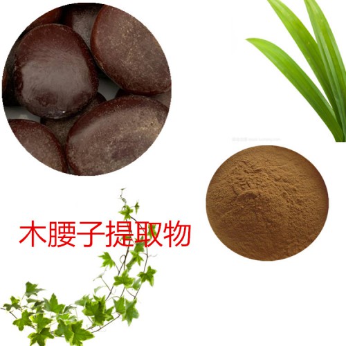 木腰子提取物   木腰子粉 木腰子速溶粉 木腰子浸膏粉