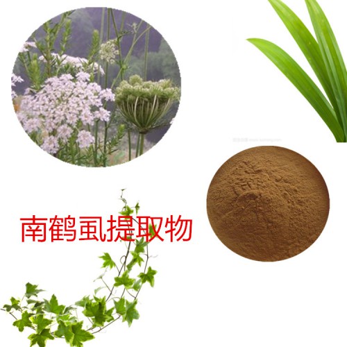 南鶴虱提取物  南鶴虱粉 南鶴虱速溶粉 南鶴虱浸膏粉