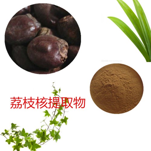 荔枝核提取物 荔枝核粉 荔枝核速溶粉 荔枝核浸膏粉