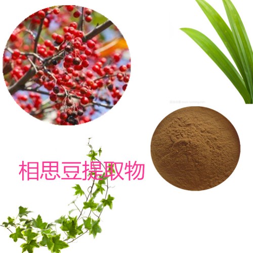 相思豆提取物   相思豆粉 相思豆速溶粉 相思豆浸膏粉