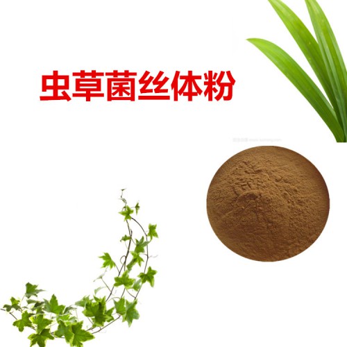 蟲草菌絲體粉 蟲草菌絲體提取物 發(fā)酵蟲草菌絲體粉