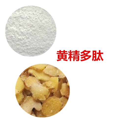 黃精多肽 黃精小分子肽  黃精蛋白 黃精蛋白肽