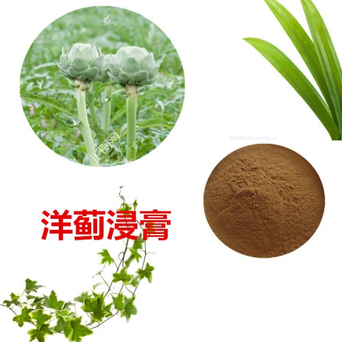 洋薊浸膏粉 洋薊提取物 洋薊粉 洋薊提取液