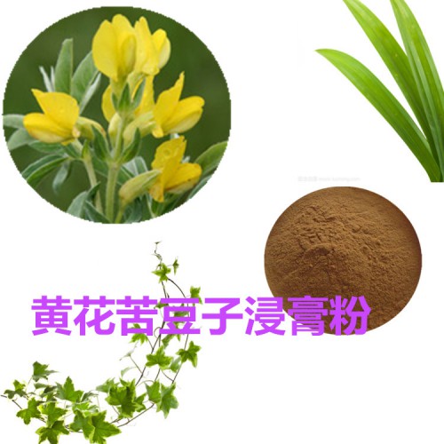 黃花苦豆子浸膏粉 黃花苦豆子提取物 黃花苦豆子粉