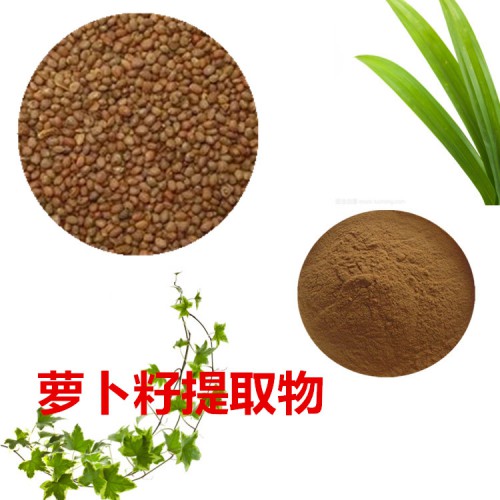 蘿卜籽浸膏粉  蘿卜籽提取物  蘿卜籽粉  蘿卜籽提取液