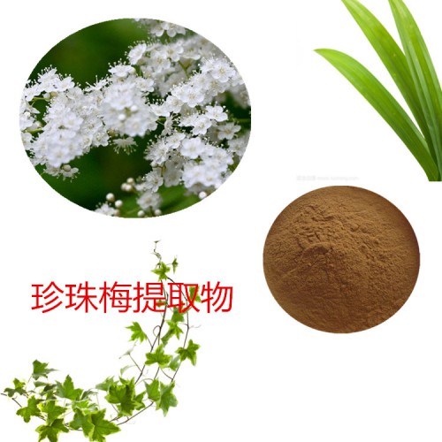 珍珠梅浸膏粉 珍珠梅提取物 珍珠梅粉  珍珠梅提取液