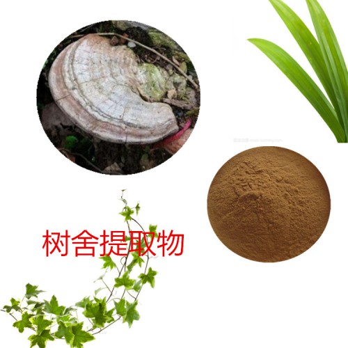 樹舍浸膏粉 樹舍提取物 樹舍粉 樹舍提取液