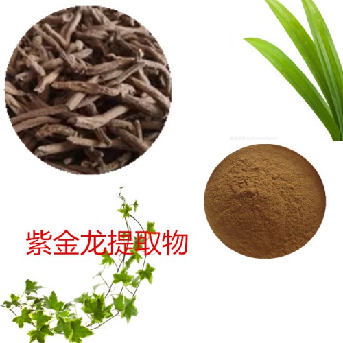 紫金龍浸膏粉 紫金龍?zhí)崛∥?紫金龍粉 紫金龍?zhí)崛∫?/></a>
 <p class=