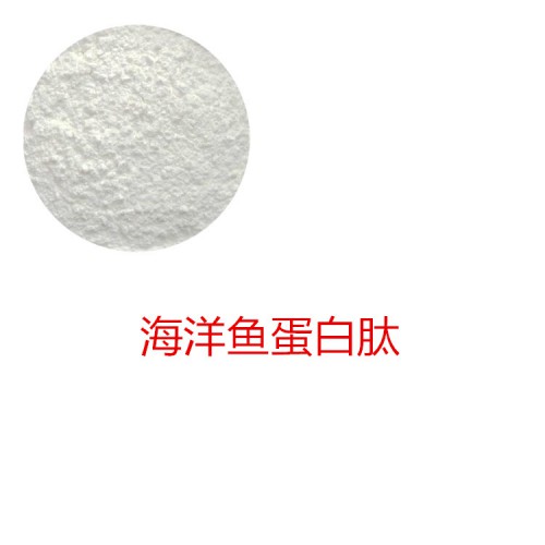 海洋魚蛋白 海洋魚蛋白肽 海洋魚多肽 海洋魚小分子肽