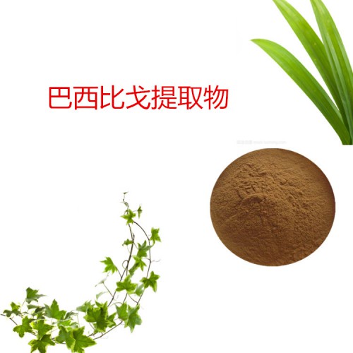 巴西比戈提取物  巴西比戈速溶粉 巴西比戈浸膏粉