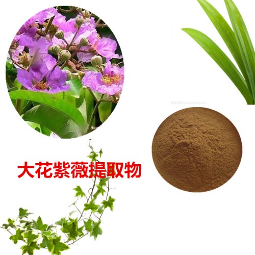 大花紫薇提取物  大花紫薇速溶粉 大花紫薇浸膏粉