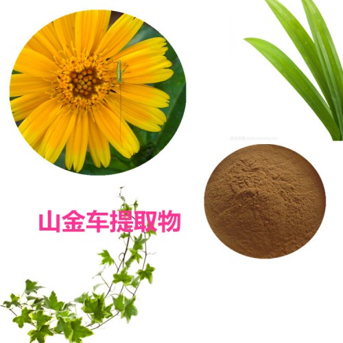 山金車提取物 山金車粉 山金車速溶粉 山金車浸膏粉