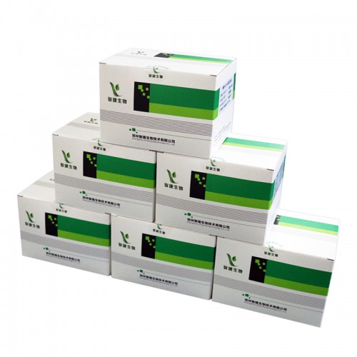 核酸提取或純化試劑 預分裝試劑