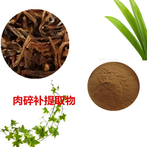 肉碎補(bǔ)提取物  肉碎補(bǔ)粉  肉碎補(bǔ)速溶粉  肉碎補(bǔ)浸膏粉