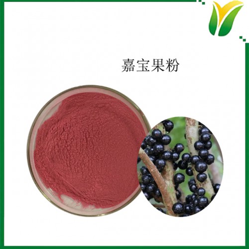 植物提取物 樹葡萄粉固體飲料 樹葡萄果粉