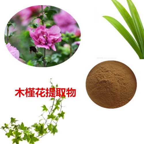 木槿花提取物 木槿花粉 木槿花速溶粉 木槿花浸膏粉