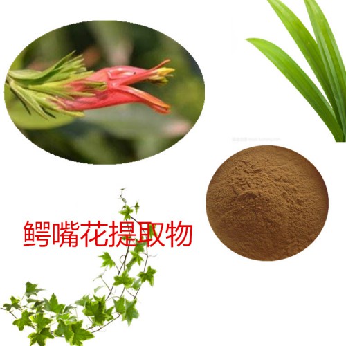 鱷嘴花提取物  鱷嘴花粉 鱷嘴花速溶粉 鱷嘴花浸膏粉