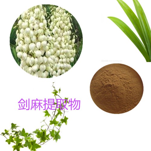 劍麻提取物  劍麻粉 劍麻速溶粉 劍麻浸膏粉