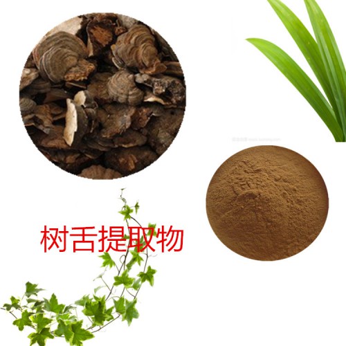 樹舌提取物  樹舌粉 樹舌速溶粉 樹舌浸膏粉