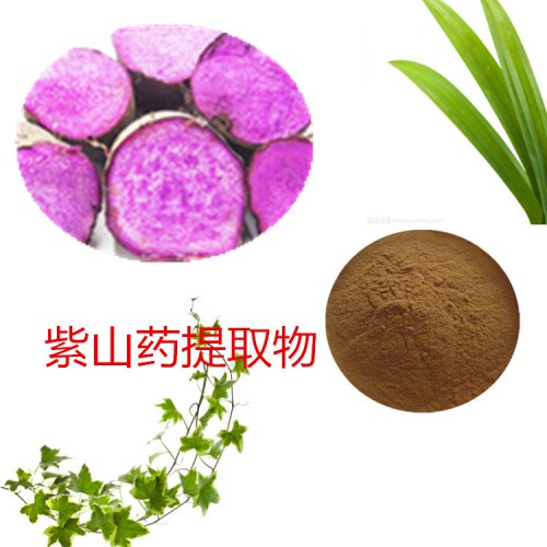 紫山藥提取物  紫山藥粉 紫山藥速溶粉 紫山藥浸膏粉