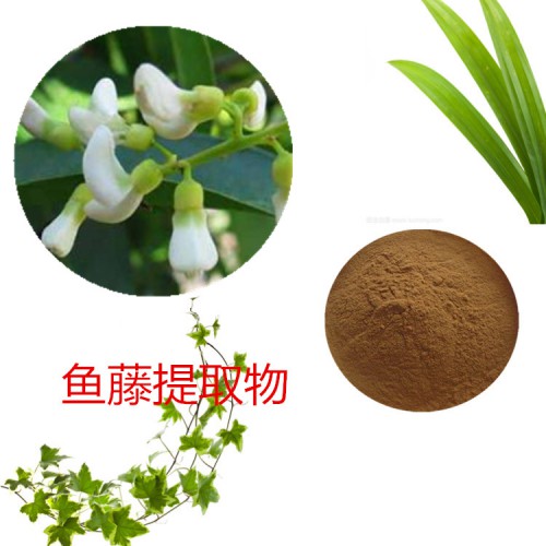 魚藤提取物  魚藤粉 魚藤速溶粉 魚藤浸膏粉