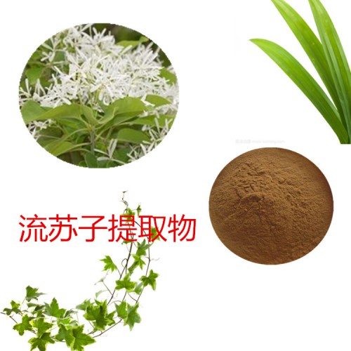 流蘇子提取物  流蘇子粉 流蘇子速溶粉  流蘇子浸膏粉