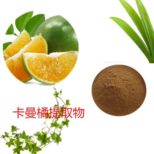 卡曼橘提取物  卡曼橘粉 卡曼橘速溶粉  卡曼橘浸膏粉