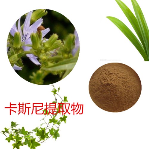 卡斯尼提取物  卡斯尼粉 卡斯尼速溶粉  卡斯尼浸膏粉