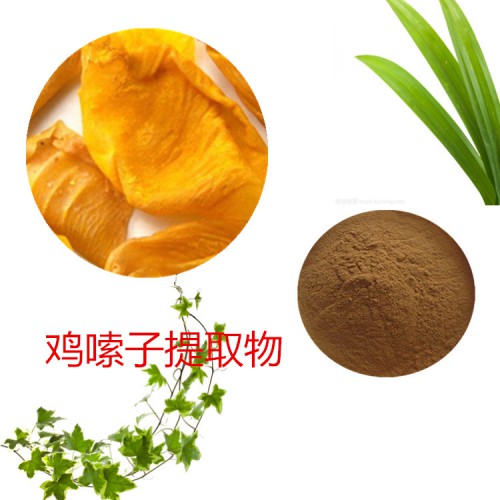 雞嗦子提取物 雞嗦子粉 雞嗦子速溶粉  雞嗦子浸膏粉