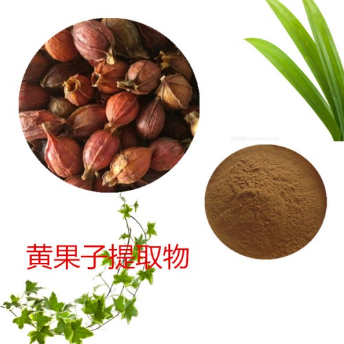 黃果子提取物 黃果子粉 黃果子速溶粉 黃果子浸膏粉