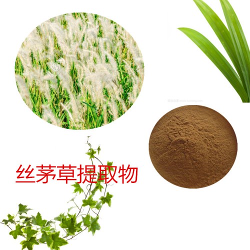 絲茅草提取物  絲茅草粉 絲茅草速溶粉 絲茅草浸膏粉