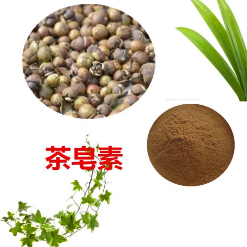 茶皂素40% 茶樹(shù)種子提取物  茶樹(shù)種子粉   茶樹(shù)種子浸膏