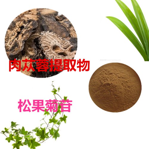 松果菊30% 肉蓯蓉提取物  肉蓯蓉粉   肉蓯蓉浸膏