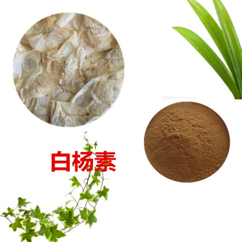白楊素98%  木蝴蝶提取物  木蝴蝶粉   木蝴蝶浸膏