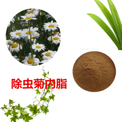 除蟲菊酯50%  除蟲菊提取物  除蟲菊粉   除蟲菊浸膏