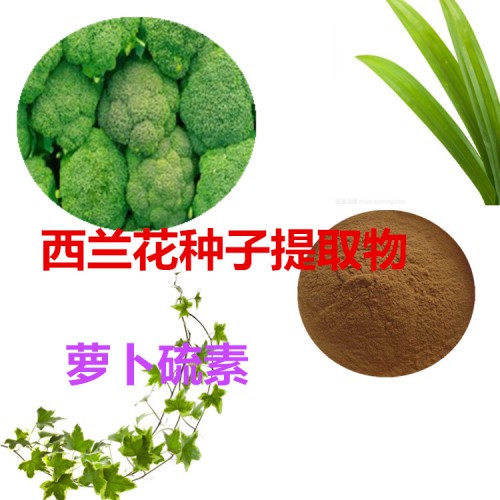 蘿卜硫素 1%  西蘭花種子提取物  西蘭花種子粉