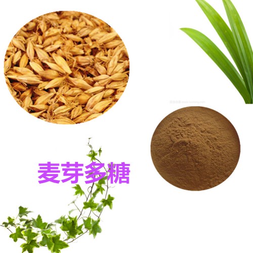 麥芽多糖  麥芽提取物   麥芽粉  麥芽浸膏