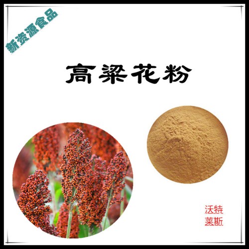 高粱花粉 高粱花提取物 高粱花浸膏 高粱花速溶粉