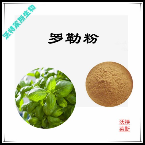 羅勒提取物 羅勒提取液 羅勒浸膏 羅勒粉