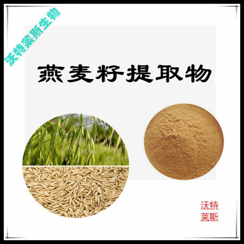 燕麥籽提取物 燕麥籽提取液 燕麥籽浸膏 燕麥籽粉