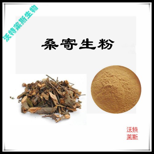 桑寄生粉 桑寄生提取物 桑寄生浸膏 桑寄生提取液