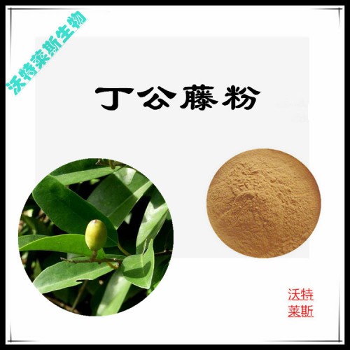 丁公藤粉 丁公藤提取物 丁公藤浸膏 丁公藤提取液