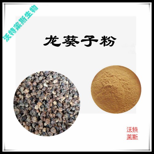 龍葵子粉 龍葵子提取物 龍葵子浸膏 龍葵子提取液